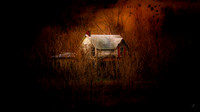 Abandoned