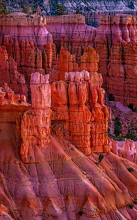 Hoodoos in the morning sun