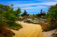 Beach Path - Fort Hancock